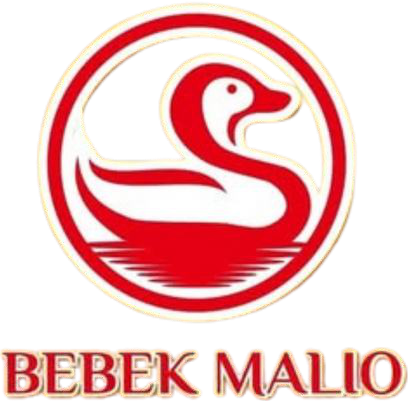 Client Logo 10
