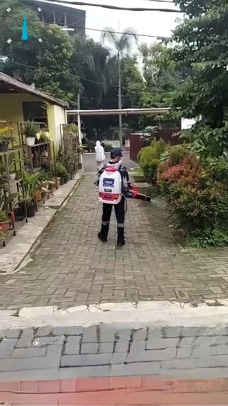 Bahaya Rayap: Cara Mendeteksi dan Mengatasinya