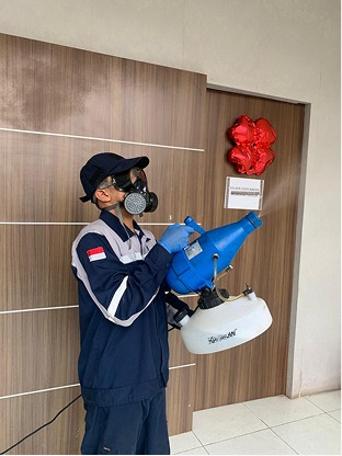 Kenapa Tikus Berbahaya dan Cara Membasminya
