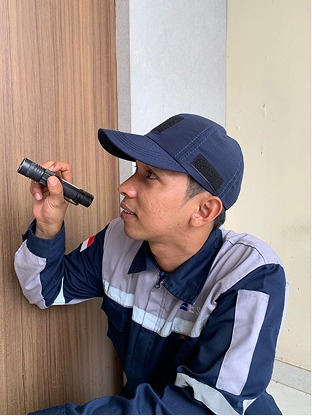 Keunggulan Menggunakan Jasa Fumigasi Profesional