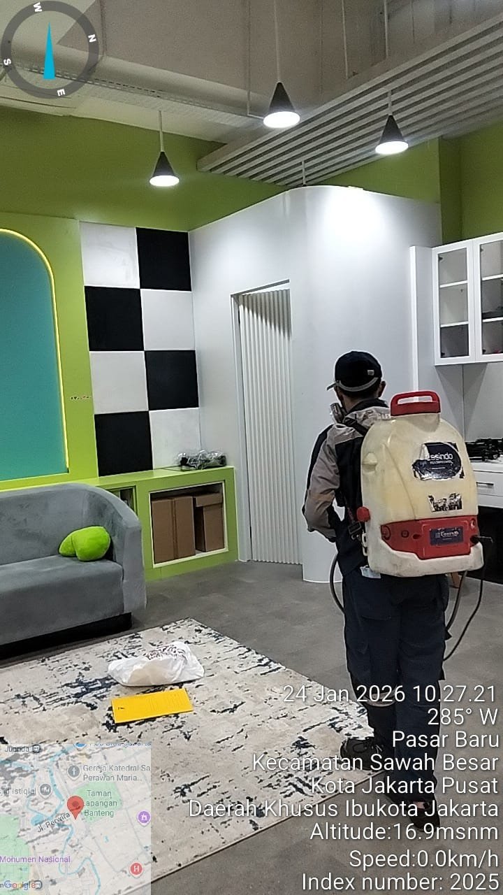 Layanan pengendalian lalat profesional dari Essindo Pest Control untuk area dapur restoran.