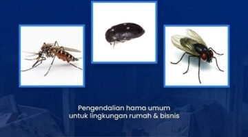 Jasa Pembasmi Hama Jakarta Essindo Pest Control
