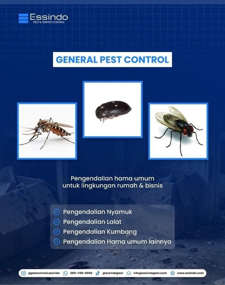 Jasa Pembasmi Hama Jakarta Essindo Pest Control